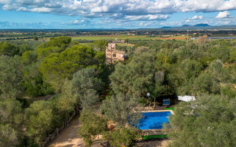 Sa Torreta: Árbol, Naturaleza, Entorno Natural, Vegetación, Paisaje, Área Rural, Inmuebles, Plantación, Fotografía Aérea, Vista Panorámica