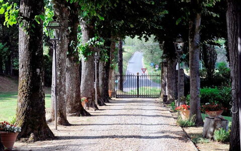 Villa Medicea Lo Sprocco: Arbusto, Pasarela, Jardín, El Maletero, Entrada De Coches, Sendero, Acera, Sombra, Paisajismo, Losa