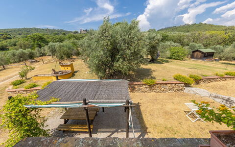 Campiglia Marittima 649: Paisaje, Área Rural, El Terreno Del Lote