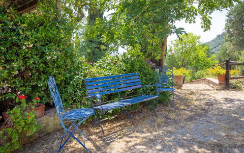 Campiglia Marittima 649: Azul, Banco Al Aire Libre, Mueble, Mueble Para Exteriores, Banco, Jardín, Cobertura Del Suelo, Sombra, Parque
