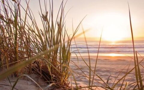 De Bosuil: Playa, Mar, Costa, Mañana, Amanecer, Arena, Apuntalar, Oceano, Luz De Sol, Puesta De Sol