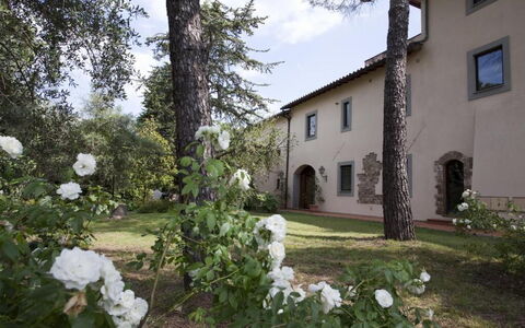 Relais de Ricci: Arbusto, Inmuebles, Jardín, Hacienda, Entrada De Coches, Paisajismo, Yarda, Patio, Pasarela, Patio Interior