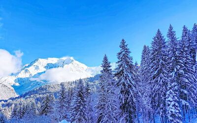 Saint Gervais 740