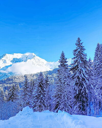 Saint Gervais 740