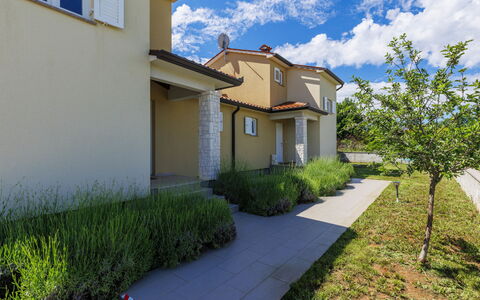 Istria Queen: Barrio Residencial, Arbusto, Casa, Suburbio, Jardín, Inmuebles, Entrada De Coches, Pasarela, Paisajismo, Acera