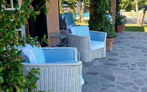 Casa Mia: Mueble, Mueble Para Exteriores, Sombra, Silla, Maceta, Piso, Losa, Mesa Al Aire Libre, Jardín, Paisajismo