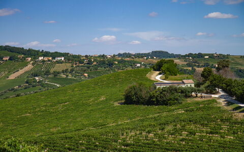 Villa Zena: Verde, Agricultura, Campo, Plantación, Área Rural, Llanura, Pradera, Paisaje, El Terreno Del Lote