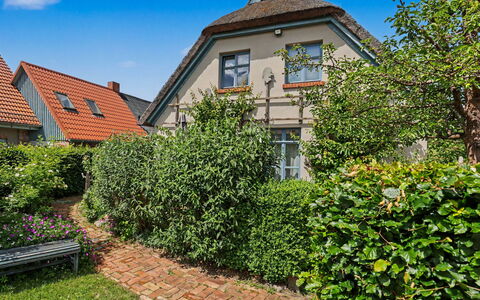 Reetgedecktes Ferienhaus Seelchen: Verde, Pared, Arbusto, Casa, Barrio Residencial, Jardín, Casa, Cobertura, Cobertura Del Suelo