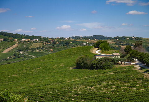 Zena Apartment: Verde, Agricultura, Campo, Plantación, Área Rural, Llanura, Pradera, Paisaje, El Terreno Del Lote
