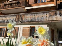 Sonnig und Gemütlich