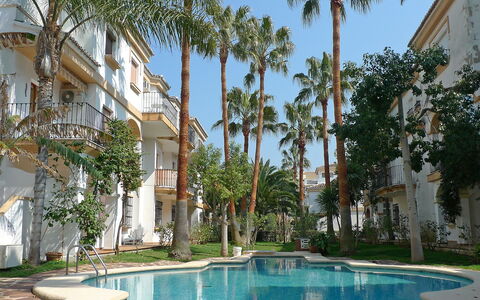 El Patio: Agua, Planta, Edificio, Propiedad, Cielo, Árbol, Ventana, Piscina, Arecales, Barrio Residencial