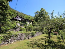 Charmantes Tessiner Haus mit Absoluter Privatsphär