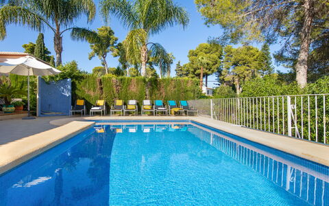 Eucaliptus: Agua, Planta, Cielo, Piscina, Propiedad, Azur, Árbol, Sombra, Silla, Mueble Para Exteriores