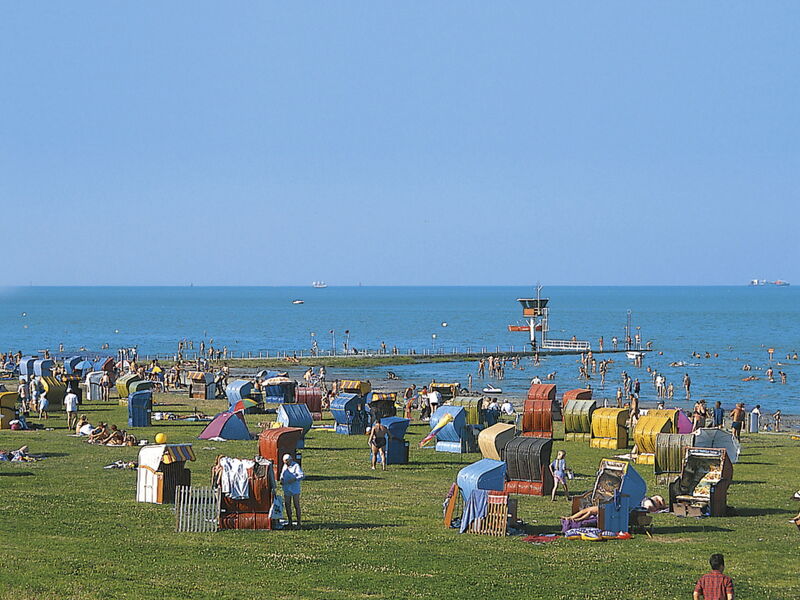J10 Eingefriedetes Ferienhaus in Eckwarderhörne