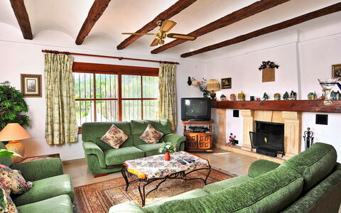 Tarraula: Marco, Propiedad, Sofá, Verde, Mueble, Planta De Casa, Diseño De Interiores, Encendiendo, Comodidad, Planta