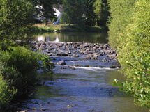 Chalet Wiedfluh in Waldbreitbach