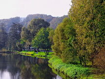 Chalet Wiedfluh in Waldbreitbach