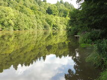 Chalet Wiedfluh in Waldbreitbach
