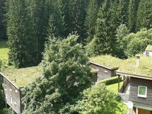 Für 9 Personen im Thüringer Wald