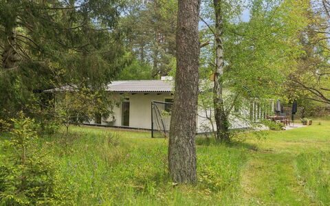 Aiko - 1.8Km from the Sea: Árbol, Hierba, Arbusto, Casa, Casa, Cabaña, El Terreno Del Lote, Área Rural, Cobertura Del Suelo