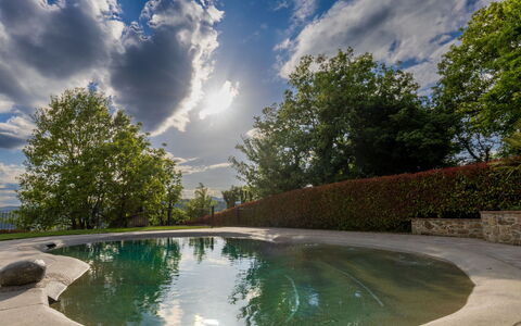 L'Oasi del Poggio: Agua, Piscina, Reflexión, Fuente De Agua, Paisajismo, Estanque, Piscina De Reflejo