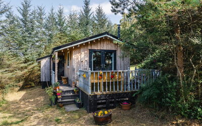 The Secluded Cabin