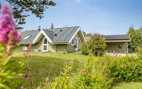 Emiljan - from the Sea: Hierba, Pradera, Paisaje, Ecorregión, Llanura, Planta De La Comunidad, El Terreno Del Lote, Mueble Para Exteriores, Pradera, Shrubland