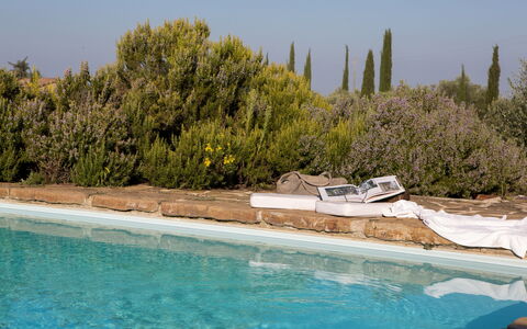 Podere Sangiovese, Pool and View in Chianti: Paisajismo, Hojas Perennes, Piscina, Familia De Pino