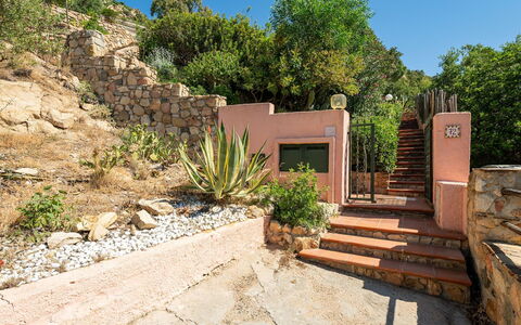 Pellicano: Arbusto, Klippe, Planta De La Comunidad, Jardín, Paisajismo, Maceta, Losa, Escalera, Pared De Piedra