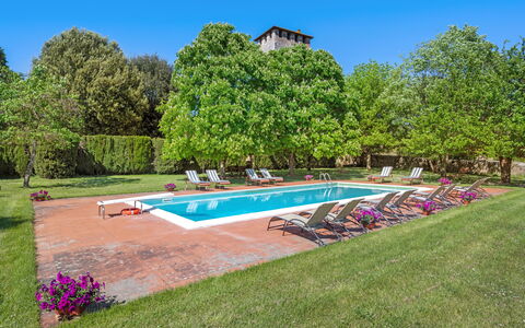 Medieval Castle Living: Vineyards, Swimming Pool &: Árbol, Arbusto, Jardín, Césped, Inmuebles, Plantación, Piscina, Parque, Paisajismo, Hacienda