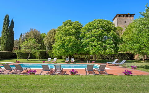 Medieval Castle Living: Vineyards, Swimming Pool &: Arbusto, Jardín, Inmuebles, Hacienda, Césped, Paisajismo, Plantación, Cobertura, Patio, Parque