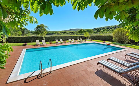Medieval Castle Living: Vineyards, Swimming Pool &: Piscina, Recurso, Eco Hotel, Jardín, Hacienda, Sombra, Villa, Casa De Campo, Fuente De Agua, Paisajismo
