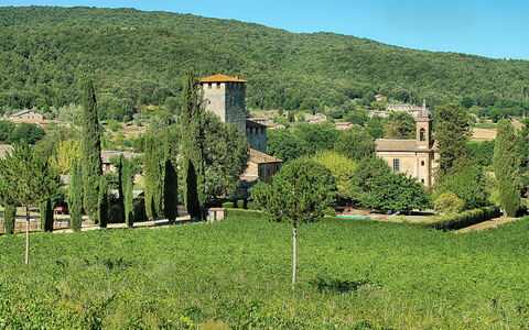 Medieval Castle Living: Vineyards, Swimming Pool &: Vegetación, Arbusto, El Terreno Del Lote, Planta De La Comunidad, Área Rural, Plantación, Hill Station, Jardín, Pueblo, Inmuebles