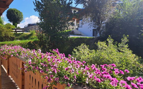 Weißbacher: Flor, Arbusto, Rosado, Jardín, Púrpura, Primavera, Planta Floreciendo, Cobertura Del Suelo, Pétalo