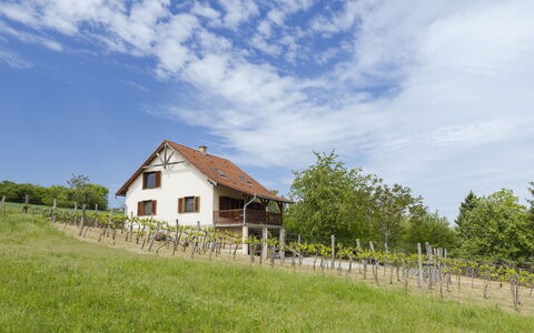 Pax: Hierba, Casa, Área Rural, Cabaña, Techo, Casa, Paisaje, Llanura, El Terreno Del Lote
