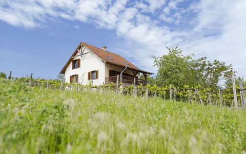 Pax: Hierba, Casa, Área Rural, Cabaña, Techo, Casa, Paisaje, Llanura, El Terreno Del Lote