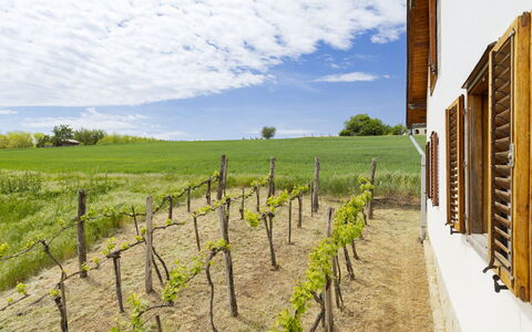 Pax: Hierba, Casa, Área Rural, Cabaña, Techo, Casa, Paisaje, Llanura, El Terreno Del Lote