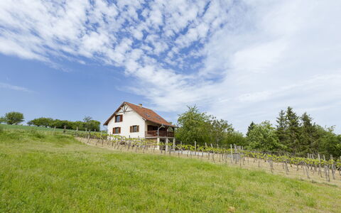 Pax: Hierba, Casa, Área Rural, Cabaña, Techo, Casa, Paisaje, Llanura, El Terreno Del Lote