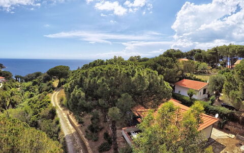 Capoliveri 860: Árbol, Vegetación, Paisaje, Planta De La Comunidad, El Terreno Del Lote, Costa, Inmuebles, Oceano, Zona Tropical