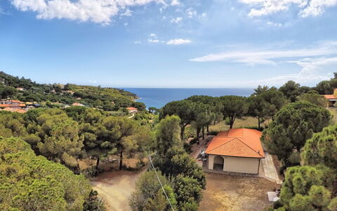 Capoliveri 860: Árbol, Hoja, Vegetación, Horizonte, Paisaje, El Terreno Del Lote, Planta De La Comunidad, Costeras Y Los Accidentes Geográficos Oceánico, Mar, Costa