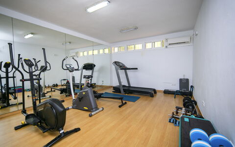 Altea Natura: Piso, Suelo, Habitación, Techo, Diseño De Interiores, Encendiendo, Equipo De Ejercicio, Maquina De Ejercicio, Mueble, Gimnasio