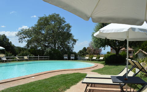 Agriturismo Bellavista, Private Pool, Val D'Orcia: Piscina, Mueble Para Exteriores, Mueble, Recurso, Sombra, Jardín, Eco Hotel, Sunlounger, Mesa Al Aire Libre, Paisajismo