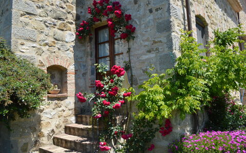 Agriturismo Bellavista, Private Pool, Val D'Orcia: Flor, Pared, Verde, Arbusto, Pétalo, Rosado, Primavera, Pared De Piedra, Jardín