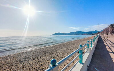 Cannes Midi