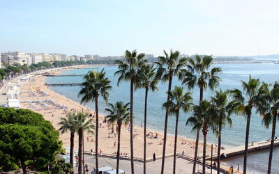Cannes Midi