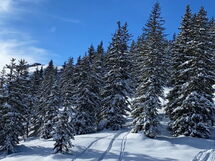 Alpinresort Kaprun Top 2