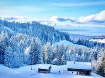 Liebevoll Sanierte Wohnung in Einem Alten Bregenze