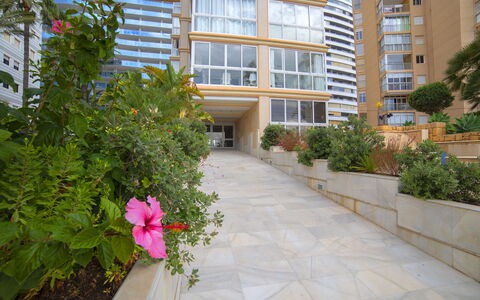 La Joya: Cielo, Edificio, Planta, Ventana, Árbol, Diseño Urbano, Barrio Residencial, Asfalto, Rueda, Superficie De La Carretera