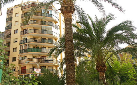 Calpe Calp 390: Planta, Edificio, Propiedad, Ventana, Cielo, Árbol, Planta Terrestre, Arecales, Vegetación, Casa