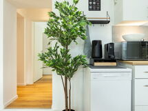 Gemütliche Ferienwohnung mit Terrasse in Weilburg